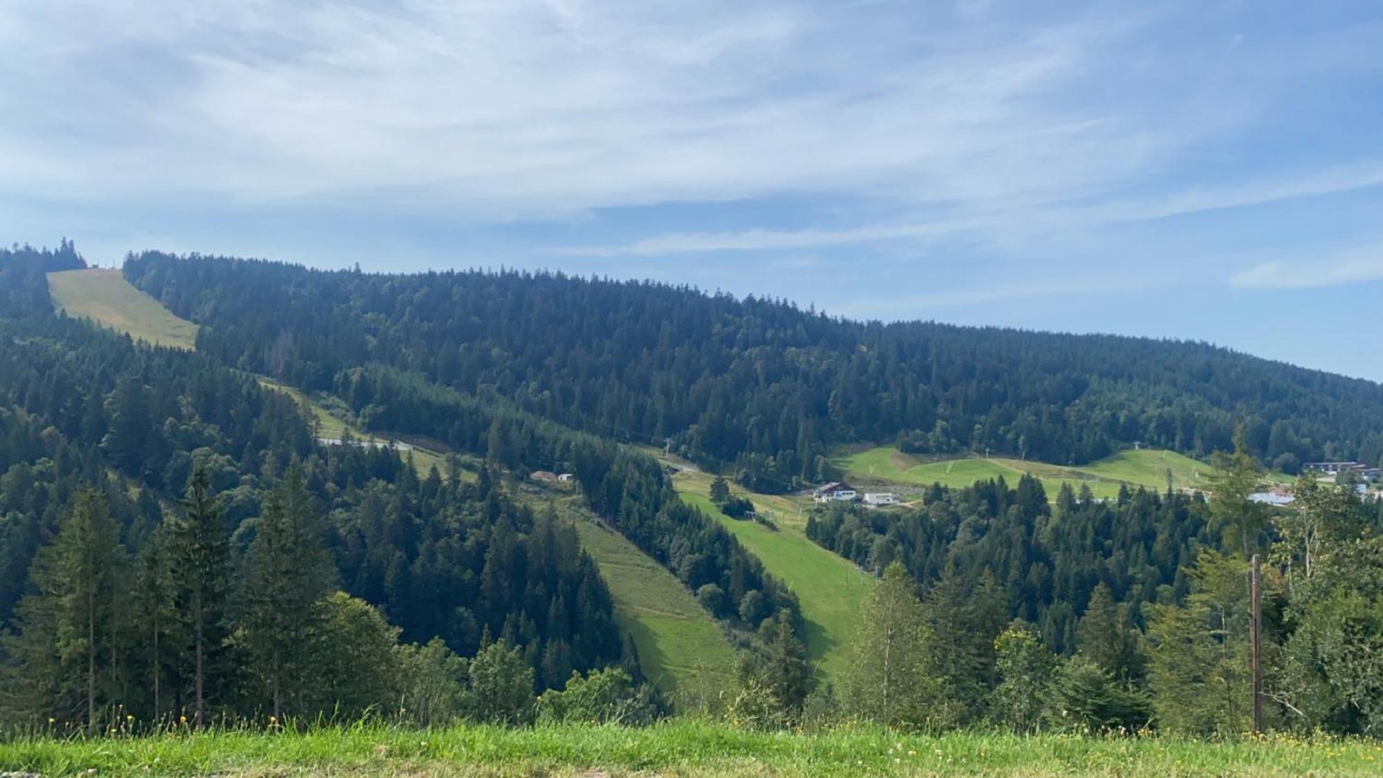 Appartement Sur Les Hauteurs De Gérardmer Kültér fotó